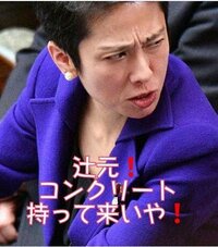 蓮舫はいつもケンカ腰で腹立ちますね 民進党支持者はあれがたまらないんですか Yahoo 知恵袋