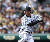 てっぺんハゲで有名な 童貞野郎トシヤ選手ですが 阪神の福留選手とす Yahoo 知恵袋