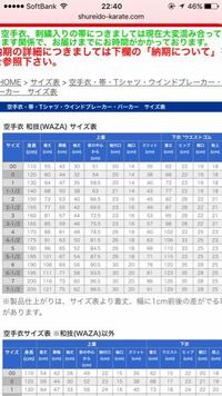 オイルペイント 守礼堂空手着サイズ3 - その他