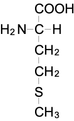 メチオニンとグルタミン酸のジペプチドの構造式を教えてください Yahoo 知恵袋