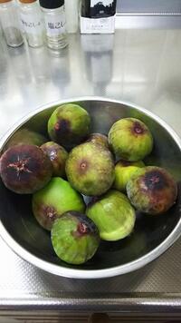 イチジクビオレソリエスは無肥料の方が結実しますか うちはピオ Yahoo 知恵袋