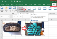 Excelで写真を挿入しているのですが 大きすぎて毎回サイズを合わせるのが面倒 Yahoo 知恵袋