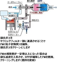 回答の画像