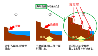 ダーリング崖