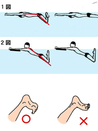 平泳ぎのあおり足について 1年前からスポーツクラブのプー Yahoo 知恵袋