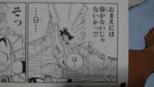 ドラゴンボール クリリン 技一覧 ドラゴンボール 複製原画 鳥山