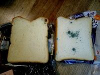 人から聞いたのですが 山崎製パン社長始めその家族は自社製の食パン類は食べない Yahoo 知恵袋