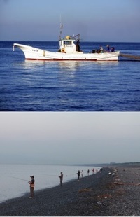 静岡県の千本浜と片浜 ジギングするならどっちがおすすめですか Yahoo 知恵袋