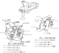 回答の画像