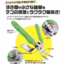 湘南の砂浜で 貝殻と流木を拾いに行きたいのですが お勧めのスポットがあれば Yahoo 知恵袋