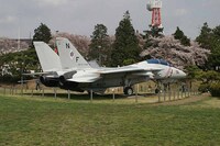 F 14トムキャットを世界一かっこいい戦闘機と思っていました も Yahoo 知恵袋