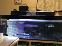 アクリル水槽の上部フィルターについて質問です 現在１２００ ６００ ４５０の Yahoo 知恵袋