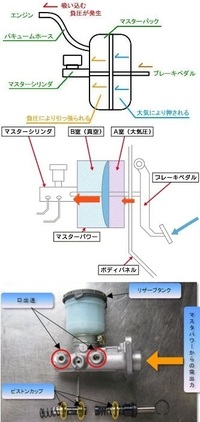 回答の画像