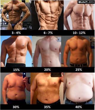 体脂肪率25 で腹筋って割れますか また30 だった場合はどうですか Yahoo 知恵袋