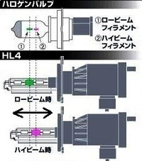 回答の画像