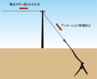 スラックラインの設置に付いて教えてください 自宅に設置を考えてますが 庭に丈夫な 教えて 住まいの先生 Yahoo 不動産