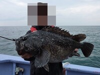 姪浜漁港でサビキ釣りをしていたのですが アンコウのような魚 上 Yahoo 知恵袋