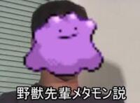 野獣先輩には色々な説がありますがどの説がを推しますか 因みに私は鈴木福説を推 Yahoo 知恵袋