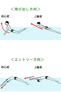 バタフライを速く泳げるようになるコツを教えてください キックは Yahoo 知恵袋