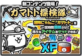ミッションとは にゃんこ