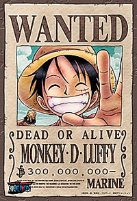 もしもワンピースのルフィが実在したら 外国人差別するネトウヨを Yahoo 知恵袋