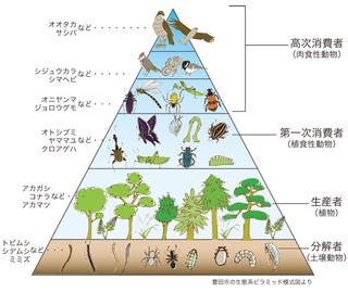 食物連鎖の一番下はなんですか 肉眼で見える範囲で 食物連鎖 Yahoo 知恵袋