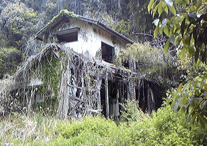 ７つの家の村ｃ 7つの家の村c 7つの家の村c 山口県光市 建売住宅団地が廃墟に