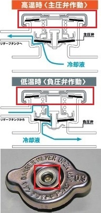 回答の画像