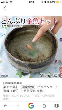 どんぶり金魚用の器を探しています 玄関の靴箱の上に置いても栄える華やかな Yahoo 知恵袋