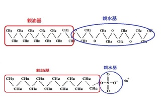 非イオン系界面活性剤であるポリオキシエチレンアルキルエーテルは Yahoo 知恵袋