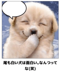 面白いダジャレを教えて下さい 尾白い犬は面白いなんてな Yahoo 知恵袋