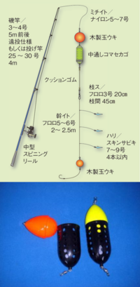 トビウオ釣りはどうやって釣るのでしょうか サーフで青物 ヒラメ釣りの外 Yahoo 知恵袋