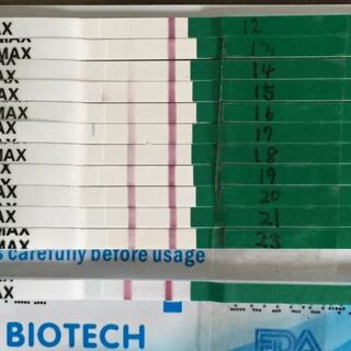 妊娠検査薬wondfoについてご意見お願いします 妊娠希望でフライン Yahoo 知恵袋