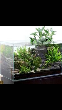 45センチ水槽で田砂で輝板石でレイアウトを考えているのですが Yahoo 知恵袋