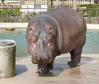 ディズニーランド帰り 新宿行きのバスは何分前から並ぶのがいいですか Yahoo 知恵袋