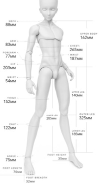 スマートドール男子について質問です。まだ素体が手元にないのですが