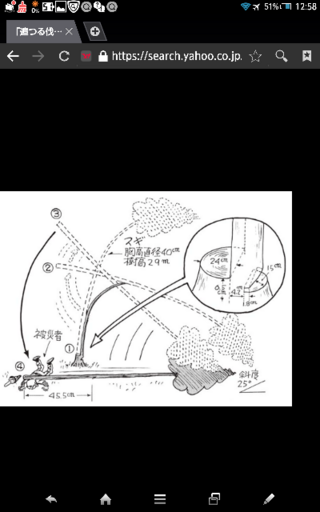 傾いた木をチェンソーで切り倒す場合受口の下側の面や追口は常に水平でよい Yahoo 知恵袋