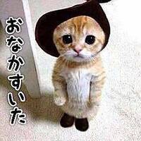 男性から目が綺麗と言われました どんな女性の目が綺麗と感じますか Yahoo 知恵袋