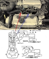 回答の画像