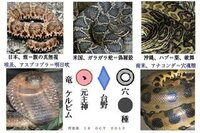 右の頬をうたれたら 左の頬をうて とは クロスカウンターを Yahoo 知恵袋