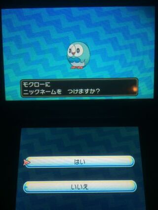 ベスト ポケモン 金銀 御三家 色違い 赤ちゃん よく笑う