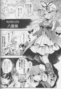 東方projectの八雲紫の服はこの写真のどちらが好みですか ちなみに Yahoo 知恵袋