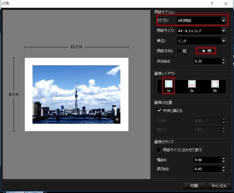 先日購入したPhotoPad写真編集ソフトで切抜いた画像（A4サイズ）を 