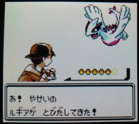 ゲームボーイカラーのポケモン銀は色違いルギアが出ますか もちろん Yahoo 知恵袋