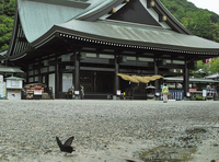 よく神社に行って結婚式に出くわすと神様に歓迎されてるとか運気が上がっている サ Yahoo 知恵袋