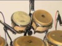 ボンゴの音を拾うマイクについて ボンゴを演奏するライブをします エレアコとエ Yahoo 知恵袋