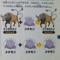 ポケモン Usum メタモンについて メタモン メタモンは卵 Yahoo 知恵袋