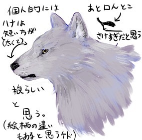 絵のアドバイスをお願いします オオカミの横顔だけを描いてみたのですが Yahoo 知恵袋