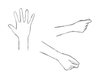 手をどこまでデフォルメしたらいいか分かりません 手を観察しながら描く Yahoo 知恵袋