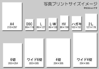 ハガキより小さい写真のサイズって何ですか サイズと言うか Lサイ Yahoo 知恵袋